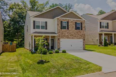 1013 Curly Top Lane, Knoxville, TN 37932