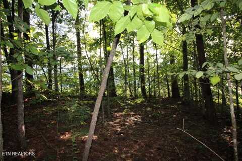 523 Rudd Hollow Rd, Townsend, TN 37882