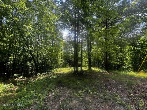 146 Fox Tr, Wartburg, TN 37887