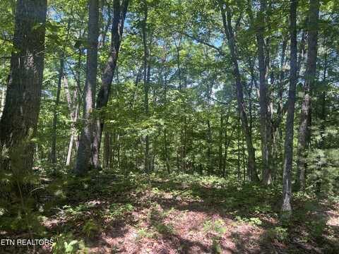33 Camden CT., Fairfield Glade, TN 38558