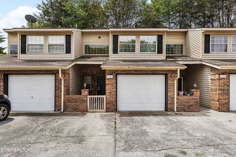 1316 Mountain Meadows Way, Sevierville, TN 37862