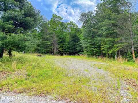 25 Lucky Lane, Jamestown, TN 38556