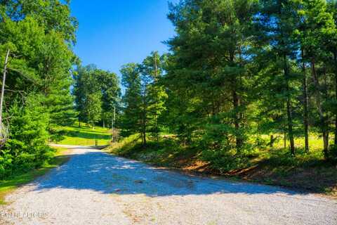 25 Lucky Lane, Jamestown, TN 38556