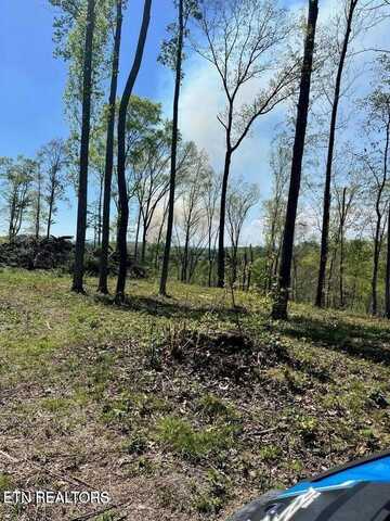 Tract 1 Mill Creek Rd, Andersonville, TN 37705