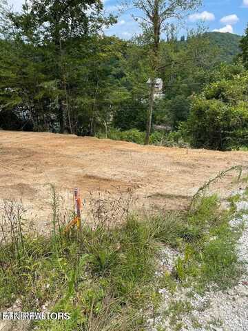 Perry Smith Lane, Caryville, TN 37714