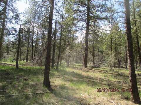 Golden Eagle Drive, Bonanza, OR 97623