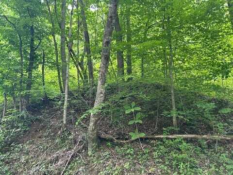 00 Otter Creek Road, Manchester, KY 40962