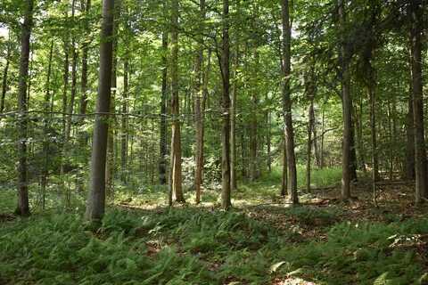 Foe Road, South Dayton, NY 14138