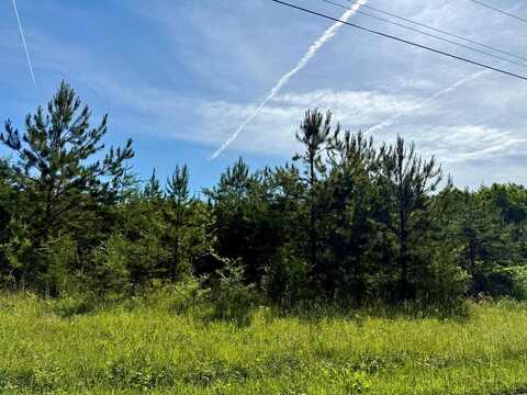 0 Chestnut Road, Nathalie, VA 24577