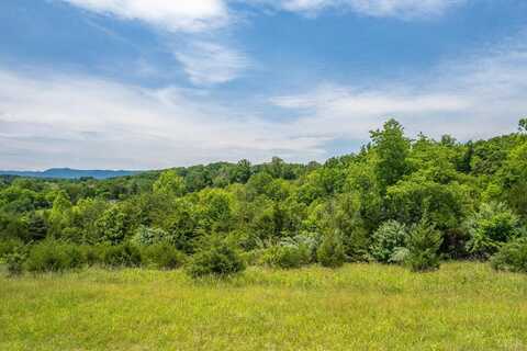 0 Meadow Grove Drive, Lexington, VA 24550