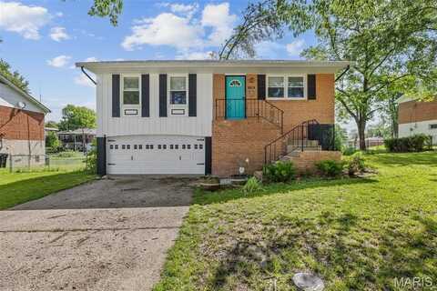 9730 Hale Drive, Saint Louis, MO 63123