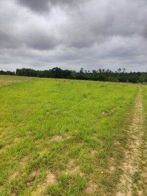 1410 MOYE RD, Norman Park, GA 31771