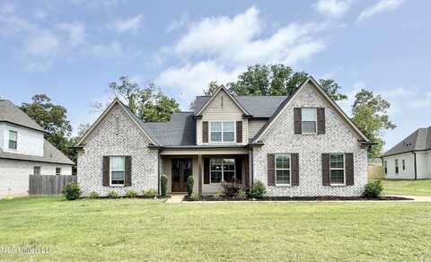 3464 Delaney Drive, Nesbit, MS 38651