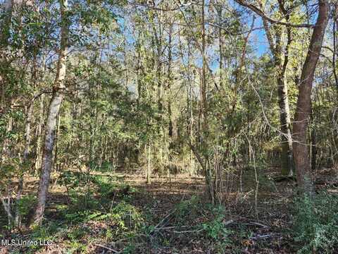 Nhn Hoda Road, Kiln, MS 39556