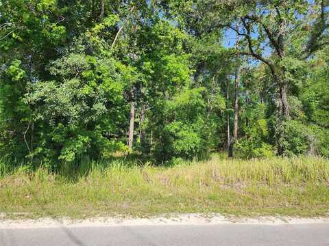 SW 159TH COURT, OCALA, FL 34481
