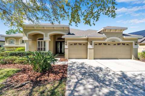 15714 IBISRIDGE DRIVE, LITHIA, FL 33547