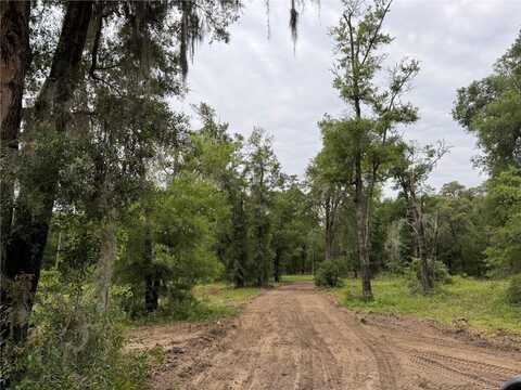Tbd NE 127TH PLACE, BRONSON, FL 32621