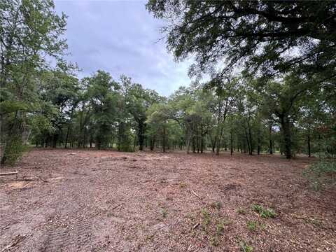Tbd NE 126TH STREET, BRONSON, FL 32621