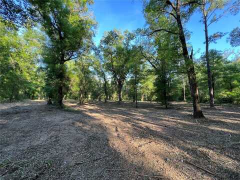 Tbd NE 126TH STREET, BRONSON, FL 32621