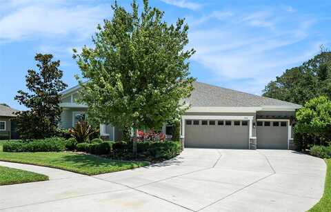 8016 ROCK SPRING COURT, LAND O LAKES, FL 34638