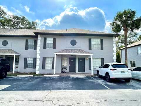 5110 SUNRIDGE PALMS DRIVE, TAMPA, FL 33617