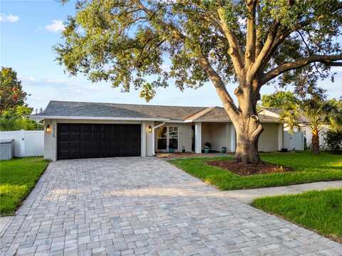 3925 DUNAIRE DRIVE, VALRICO, FL 33596