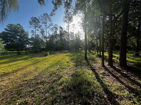 NEWBERGER, LUTZ, FL 33549