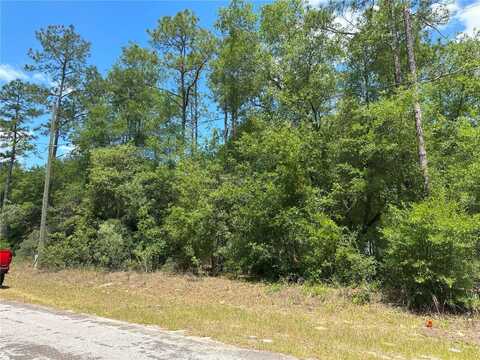 1571 W ALEXANDER DRIVE, CITRUS SPRINGS, FL 34434