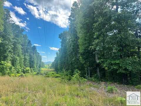 Lot 35 Pine Knoll Farms Loop, Stuart, VA 24171