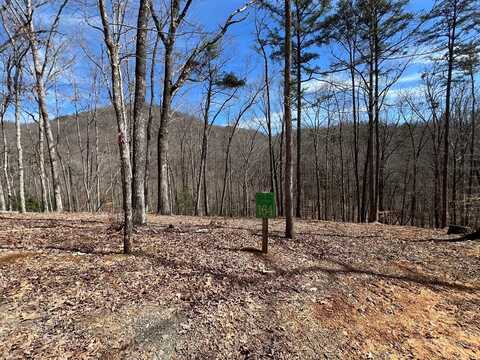 Lot 164 Tracks Hollow, MURPHY, NC 28906