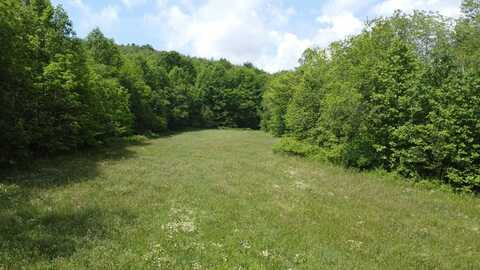 100 Wallace Road, MURPHY, NC 28906