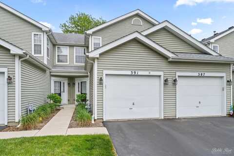 391 Maidstone Court, Schaumburg, IL 60194