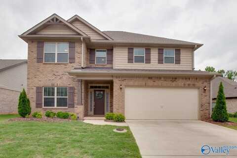 117 Kretzer Court, Huntsville, AL 35806