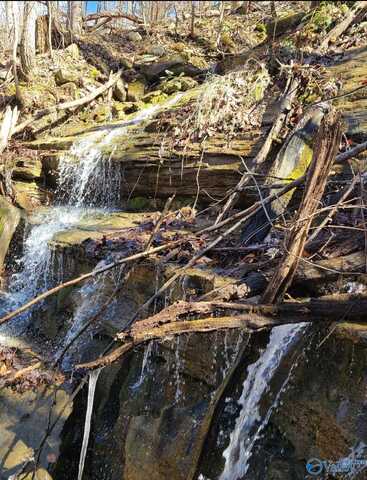 45ac Shooting Star Trail, Gurley, AL 35748