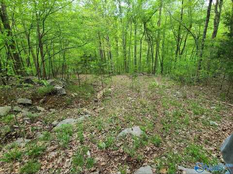 45ac Shooting Star Trail, Gurley, AL 35748