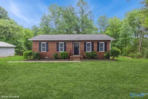 466 Bill Williams Road, Blountsville, AL 35031