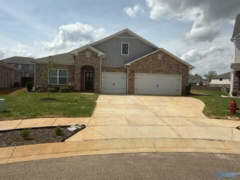 110 Shelby Lanier Court, Madison, AL 35756