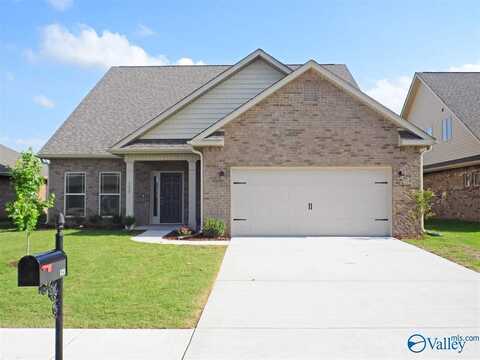 123 Pembridge Lane, Madison, AL 35756