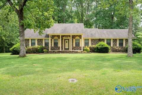 125 Harrison Street, Rainsville, AL 35967