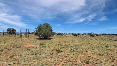 2447 E Wingfield Road, Williams, AZ 86046