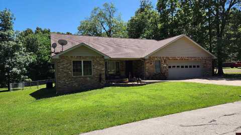 171 COON RIDGE ROAD, Lakeview, AR 72642