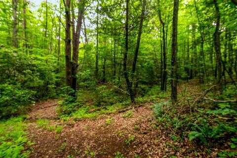 Lot 29 Mountain Spirit Way, Ellijay, GA 30536