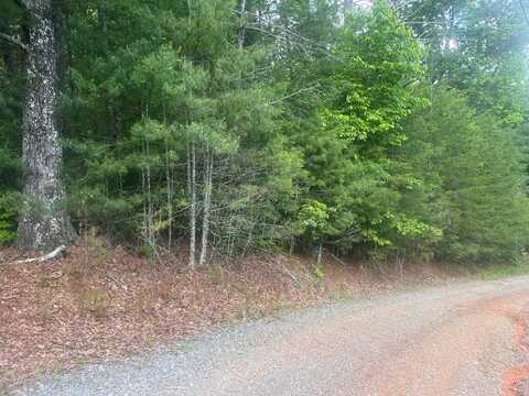 Lot 100 Ashe Court, Ellijay, GA 30540