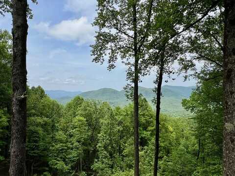 M163 Walnut Ridge, Ellijay, GA 30336