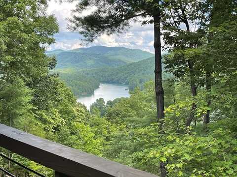 467 Necowa Cove Overlook, Blue Ridge, GA 30513