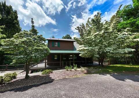 467 Necowa Cove Overlook, Blue Ridge, GA 30513