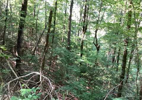 Lot 197 Dowel Circle, Ellijay, GA 30540