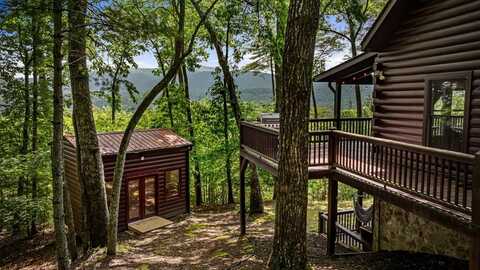 95 Rosiey Lane, Blue Ridge, GA 30513