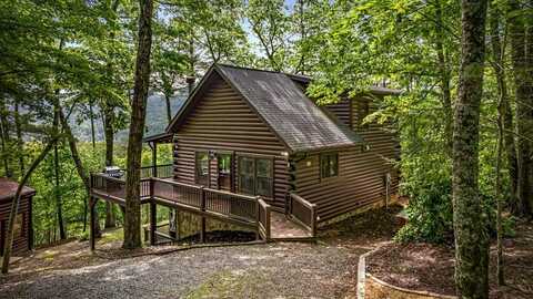 95 Rosiey Lane, Blue Ridge, GA 30513
