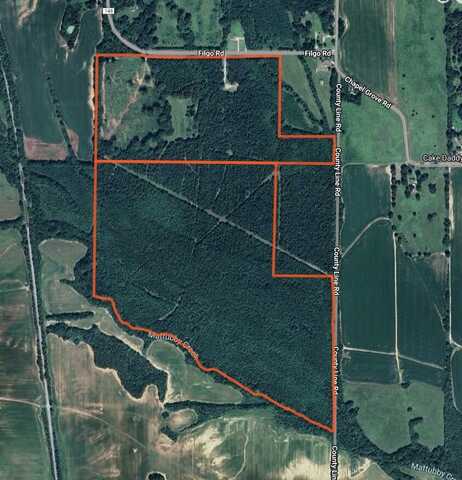 559 CR 148, Okolona, MS 38860